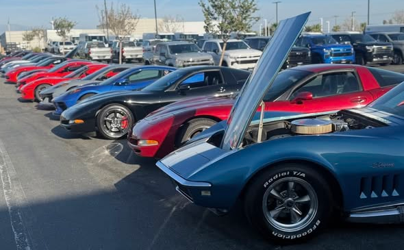 Cars of the Pomona Valley Corvette Association member lined up